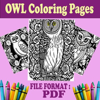 Preview of Whimsical Owls: A Colorful Adventure for All Ages