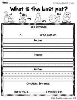 Whistle for Willie aligned with Journeys First Grade Unit 5 Lesson 23