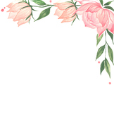 White Background Pink Floral Watercolor Clipart JPG 3000 x