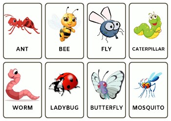 Preview of White Colorful Insects Flashcards For Your Kids