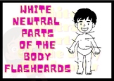 White Neutral Parts Of The Body Flashcards and Alphabet an