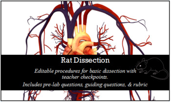 Preview of White Rat Dissection