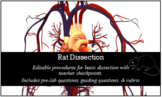 White Rat Dissection
