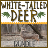 White-Tailed Deer Activities