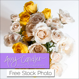 Free White & Yellow Roses Stock Photo