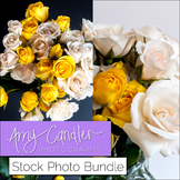 White & Yellow Roses/ Flowers Stock Photo Bundle