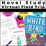 White Bird Book Summary Activity