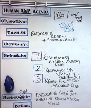 Preview of Whiteboard Magnet Agenda Headers - Create an organized classroom!