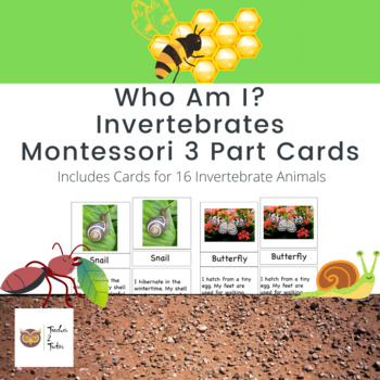 Preview of Who Am I? Invertebrates 3 Part Cards
