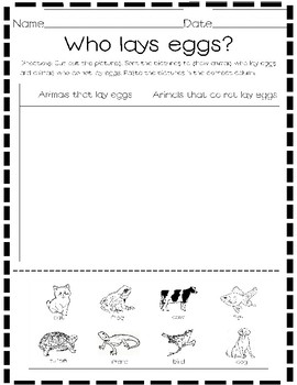 Who Lays Eggs? by Renee Basham | TPT