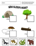 Who Sleeps Here?: Simple Hibernation Worksheet