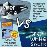 Who Would Win: Killer Whale VS Great White Shark Edition