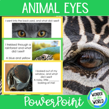 Preview of Who's looking at you? Animal Eyes PowerPoint whole class slide show activity