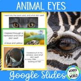 Who's looking at you? Animal eyes Google Slides slide show