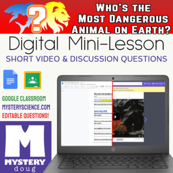 Who's the Most Dangerous Animal on Earth?-Mystery Doug - Distance Learning