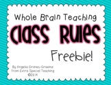 Whole Brain Teaching Class Rules - FREEBIE!