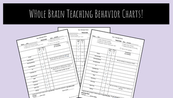 Preview of Whole Brain Teaching Individual Behavior Chart