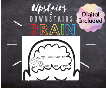 Preview of Whole Brain - Upstairs and Downstairs Brain