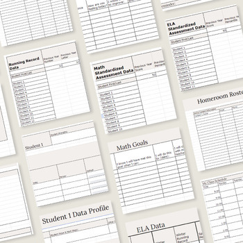 Preview of Whole Class Data Tracker + Individual Student Data Profiles in GOOGLE SHEETS!