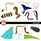 Whose Tail? Animal Clipart by Poppydreamz