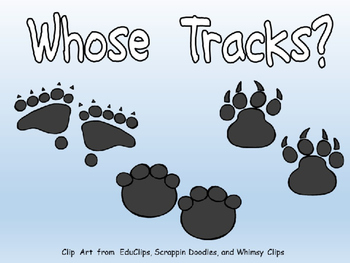 Preview of Whose Tracks?- Shared Reading- Kindergarten Science- Animal Tracks