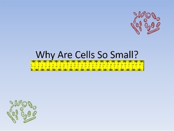 Preview of Why Are Cells Small? (Surface Area to Volume Ratio) Animated PowerPoint