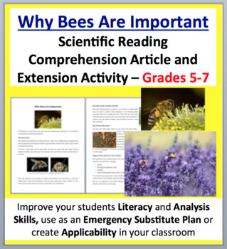 Preview of Why Bees Are Important - Science Reading Article - Grades 5-7