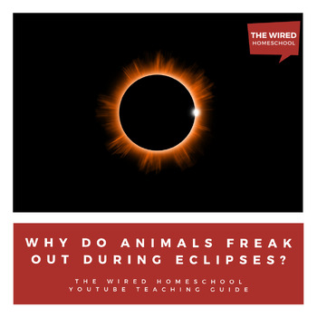 Preview of Why Do Animals Freak Out During a Solar Eclipse?