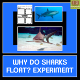Why Do Sharks Float? Experiment