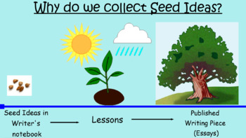 Preview of Why Do We Collect Seed Ideas? Graphic