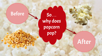 Preview of Why Does Popcorn Pop? Inquiry Model Phase Change Investigation Lesson Bundle
