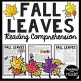 Why Fall Leaves Change Color in the Fall Reading Comprehen