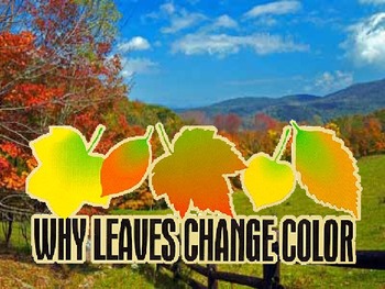 Preview of Why Leaves Change Color