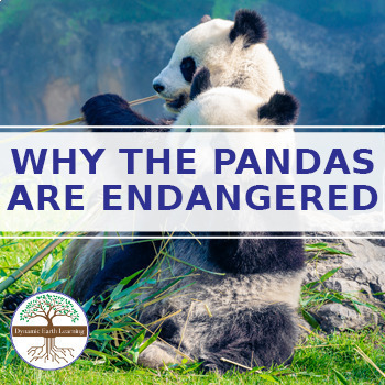 Why Pandas Are Endangered Animals: 7th- 10th Grade Lesson Plan - Google