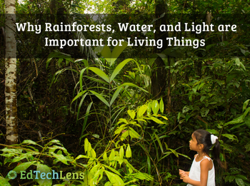 Preview of Rainforest Habitats and the Importance of Water & Light to Ecosystems Unit eBook