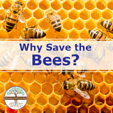 Why Save the Bees? | Video, Handout, and Worksheet | Envir