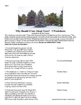 Preview of Why Should I Care About Trees? Worksheets