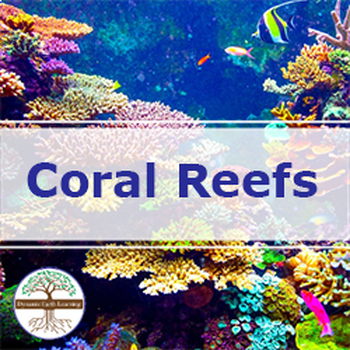 Coral Reefs | Video, Handout, & Worksheets | Environmental Science