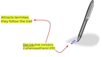 why do termites follow ink experiment