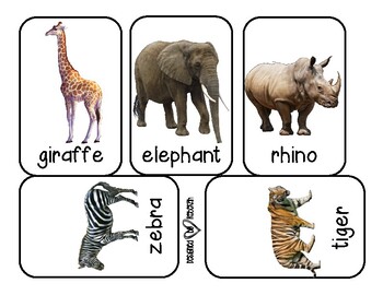 Wild Animal Flashcards by Teaching To the Stars | TpT