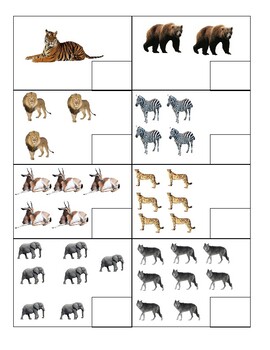 Wild Animal Math File Folders by Mandy Widmer | TPT