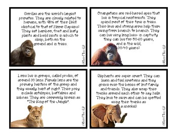 Wild Animal Paragraphs by Stress-Free SLP | TPT