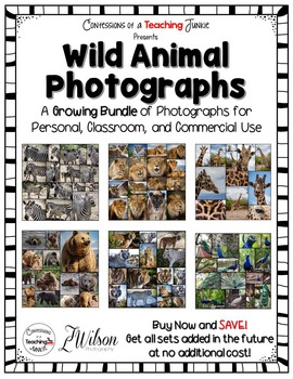 Preview of Wild Animal Photographs For the Classroom and Commercial Use  - A Growing Bundle