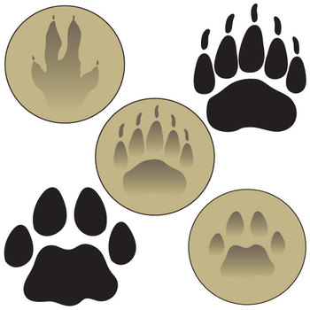 Download Wild Animal Tracks Clip Art Set By The Painted Crow Tpt