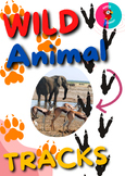 Wild Animal Tracks and Pictures for Early Years Students- 