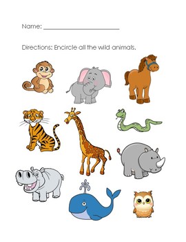 Wild Animals Worksheet by Aileen Chu | TPT