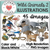 Wild Animals 2 Clipart by Clipart That Cares