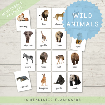 Wild Animals Flash Cards Teaching Resources | TPT