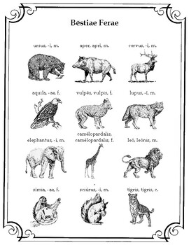 Preview of Wild Animals - Latin Vocabulary