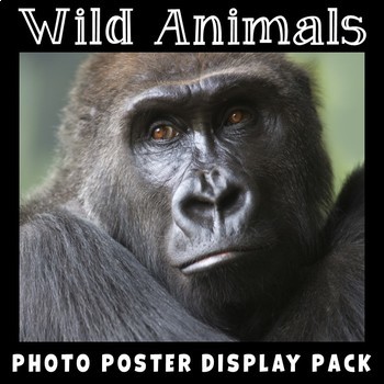 Preview of Wild Animals Posters | Science Vocabulary | Animals and Habitats | Life Science